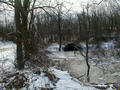 Culvert which formerly carried Alexandria Branch toward Andrico