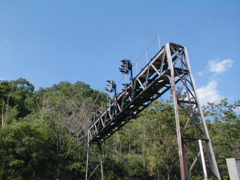 p6010329