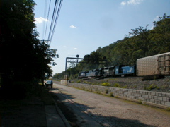 p6010330