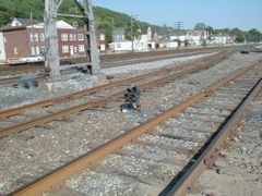 p6010342