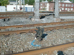 p6010343