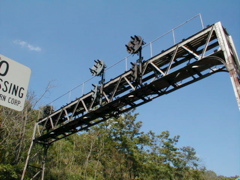 p6010319