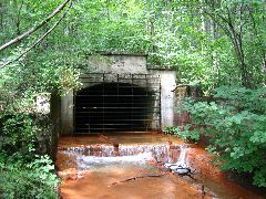 IMG_1622.JPG