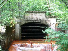 IMG_1623.JPG