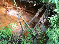 IMG_1624.JPG