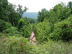 IMG_1627.JPG