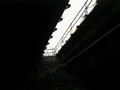 Looking up between spans, toward railroad west. Note two-pipe railing.